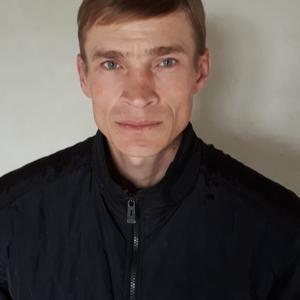 Андрей Степанов, 47 лет, Заречный