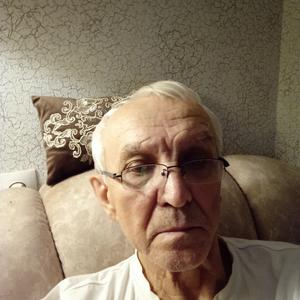 Вячеслав, 81 год, Российка