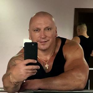 Дмитрий Александров, 42 года, Владимир