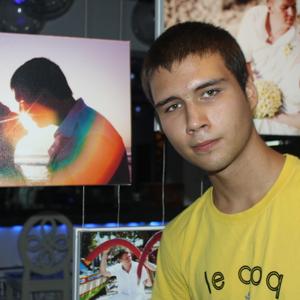 Николай, 28 лет, Красногорск