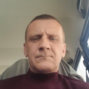 Дмитрий, 44 года, Череповец