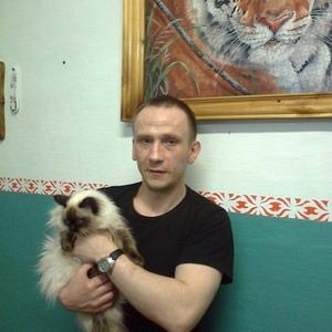 Алексей Жук, 45 лет, Бронницы