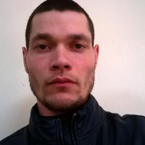 Андрей, 36 лет, Белгород
