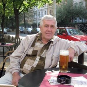 Сергей, 66 лет, Сочи