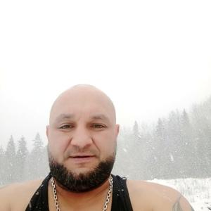 Александр Шатунов, 44 года, Петрозаводск