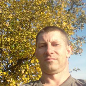 Евгений, 42 года, Курск