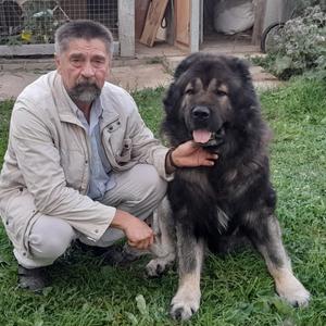 Сергей, 64 года, Новомосковск