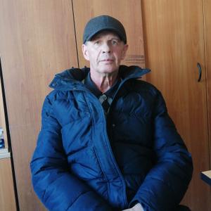 Александр, 66 лет, Пермь