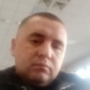 Денис, 39 лет, Пестово