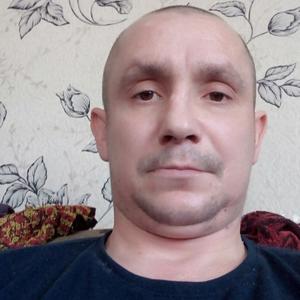 Роман, 42 года, Кемерово
