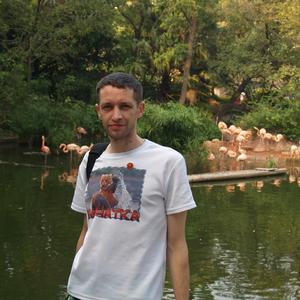 Дмитрий, 42 года, Корсаков