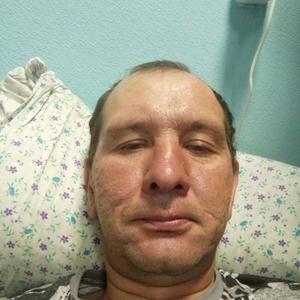 Николай, 42 года, Хабаровск