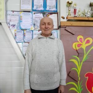 Михаил, 74 года, Гурьевск