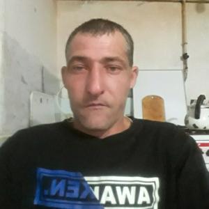 Коля Тменов, 38 лет, Краснодар