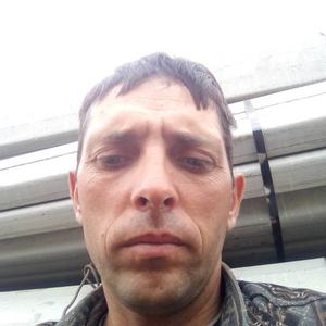 Денис Павлиненко, 41 год, Обоянь