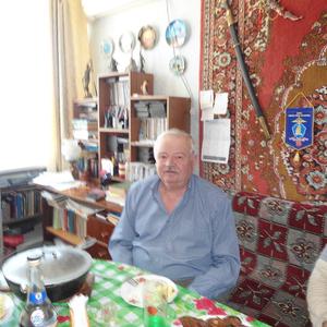 Валентин, 75 лет, Курск