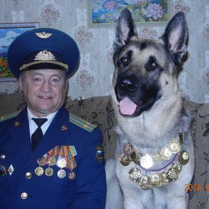 Виктор, 70 лет, Воронеж