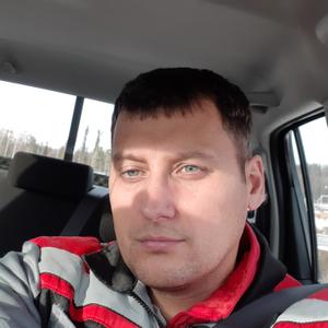 Роман, 44 года, Назарово