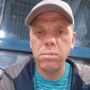 Алексей Николаев, 35 лет, Москва