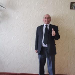Владимир Мялицин, 69 лет, Копейск