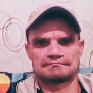Андрей, 48 лет, Богородицк