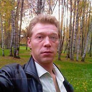 Sergej Grebyonkin, 42 года, Павловск
