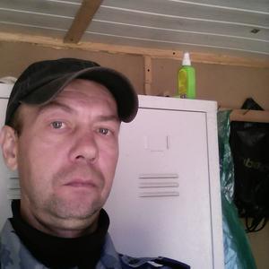 Игорь Полухтин, 51 год, Климовск