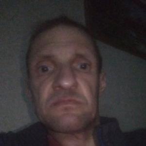 Вячеслав, 49 лет, Нижний Тагил