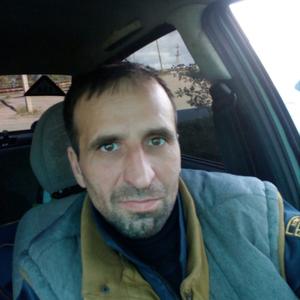 Сергей Старицын, 46 лет, Архангельск