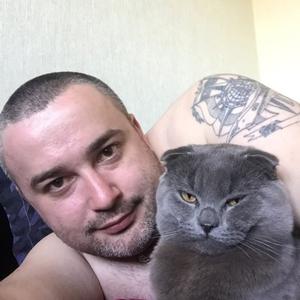 Сергий, 39 лет, Жуковский
