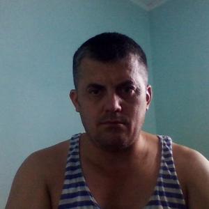 Владимир, 49 лет, Алтайский