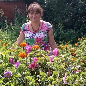 Антонина, 66 лет, Нижний Новгород