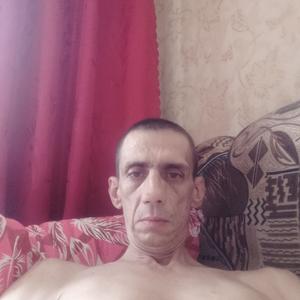 Диман, 47 лет, Топки