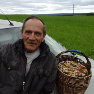 Парни в Белая Холунице: Виктор Задорин, 71 - ищет девушку из Белая Холуницы