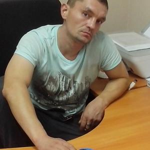 Вадим, 44 года, Всеволожск