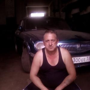 Андрей Тимофеев, 58 лет, Владимир