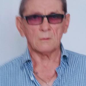 Павел Коровин, 66 лет, Ставрополь