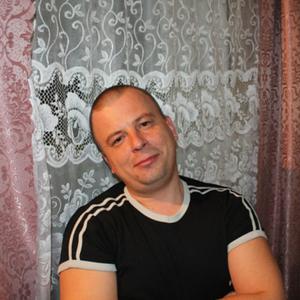 Николай, 46 лет, Песочное