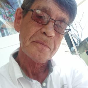 Геннадий, 66 лет, Краснодар