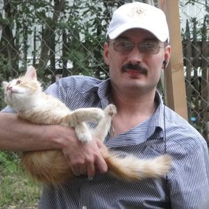 Станислав, 50 лет, Егорьевск