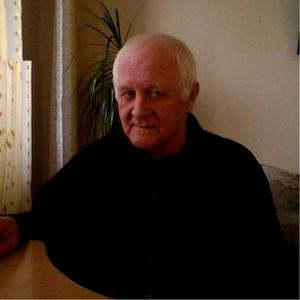 Vlad, 69 лет, Набережные Челны