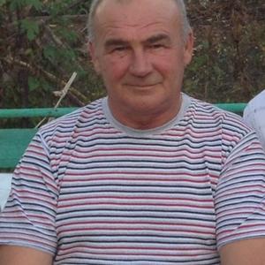 Сергей, 68 лет, Челябинск