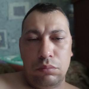 Александр, 45 лет, Зеленогорск