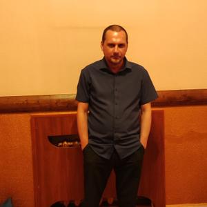 Сергей, 42 года, Курчатов