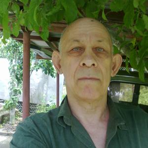 Леонид, 73 года, Геленджик