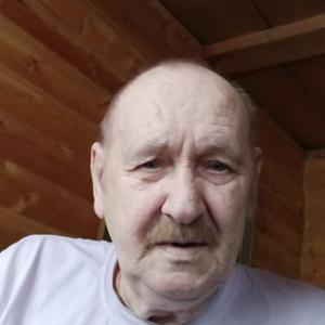 Толя, 76 лет, Фряново
