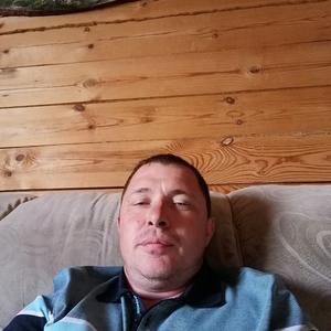 Николай, 42 года, Красноярск