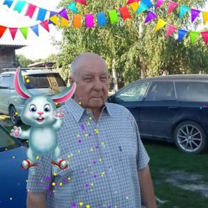 Александр, 75 лет, Новосибирск