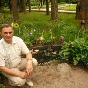 Парни в Сальске: Николай Васютин, 70 - ищет девушку из Сальска