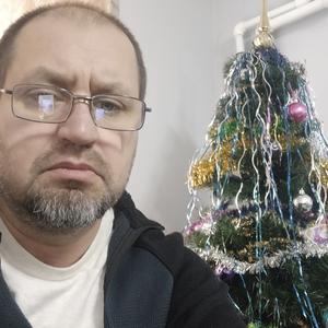 Дмитрий, 44 года, Краснодар